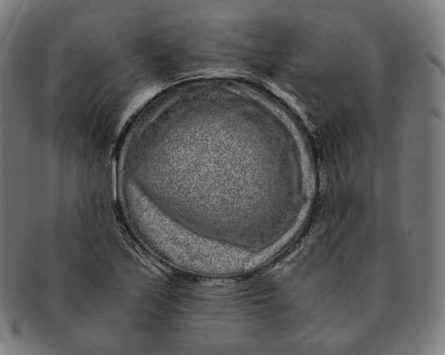 X0000090991171200708241419