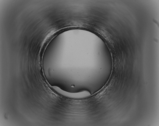 X0000090991172200708241419