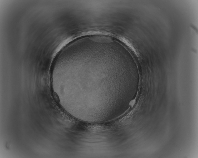 X0000090991173200708241419