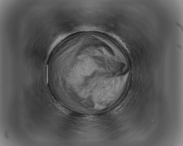 X0000090991175200708241419