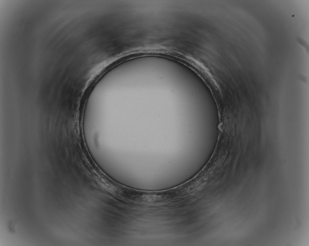 X0000090991176200708241419