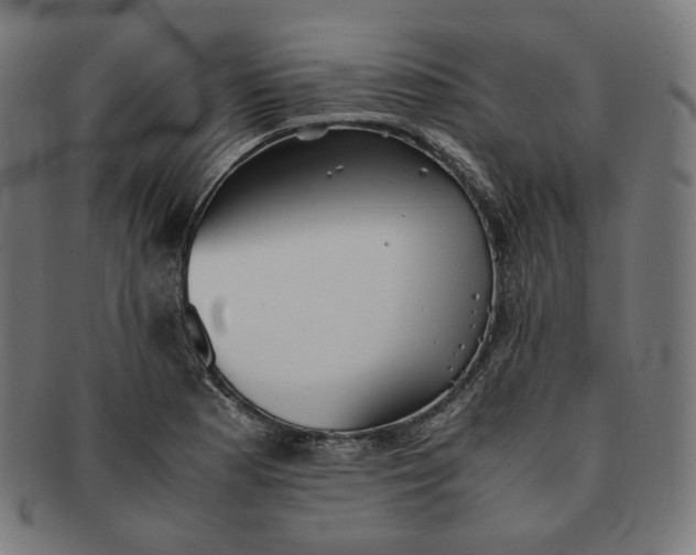 X0000090991177200708241419