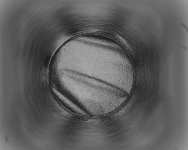 X0000090991178200708241419