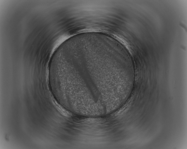 X0000090991179200708241419