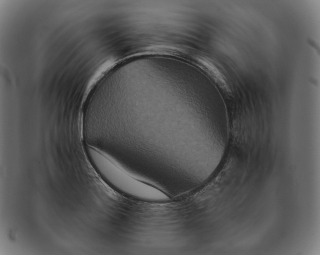 X0000090991180200708241419