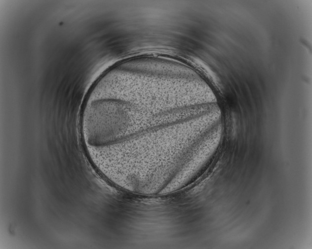 X0000090991182200708241419