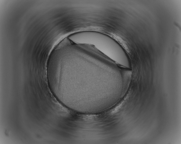 X0000090991184200708241419