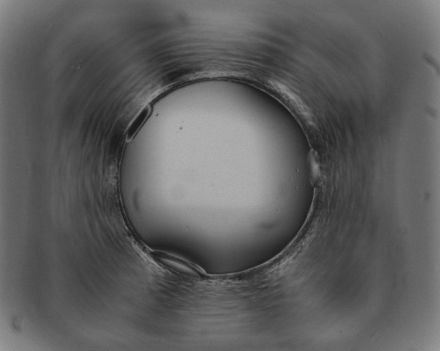 X0000090991185200708241419