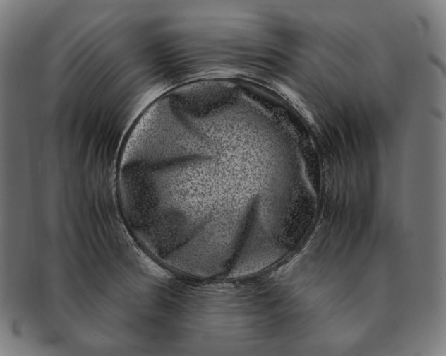 X0000090991186200708241419