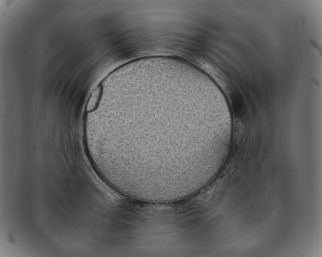 X0000090991187200708241419