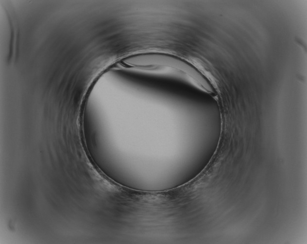 X0000090991189200708241419