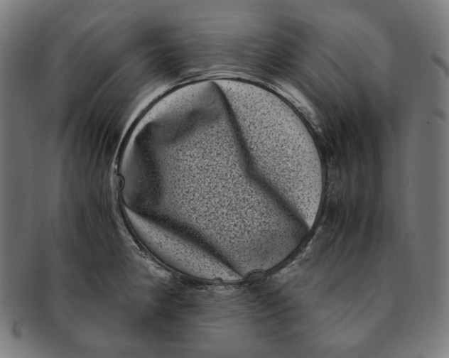 X0000090991190200708241419