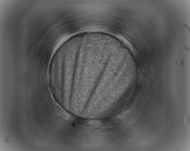 X0000090991191200708241419