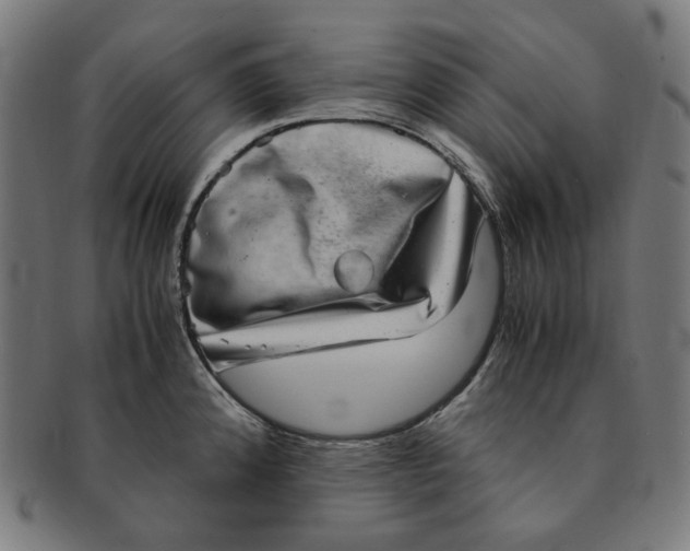 X0000090991192200708241419