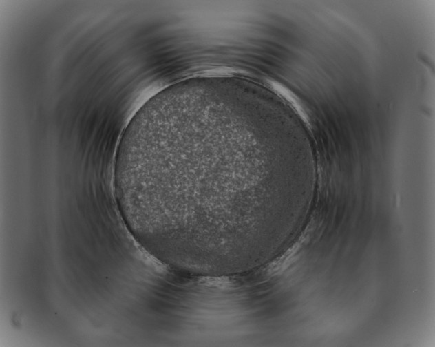 X0000090991194200708241419