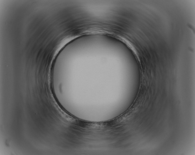 X0000090991195200708241419