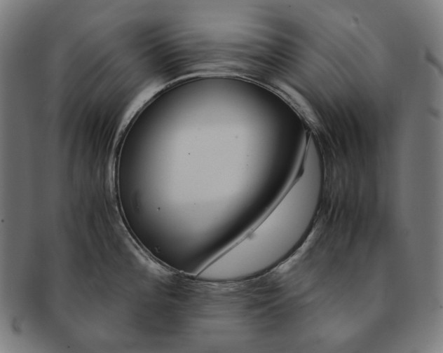 X0000090991196200708241419