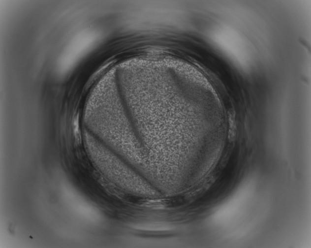 X0000090991198200708241419