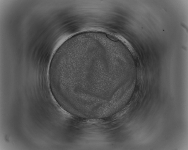 X0000090991199200708241419