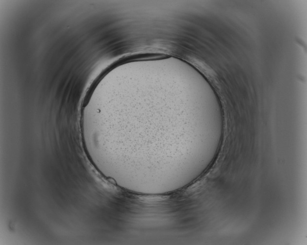 X0000090991200200708241419