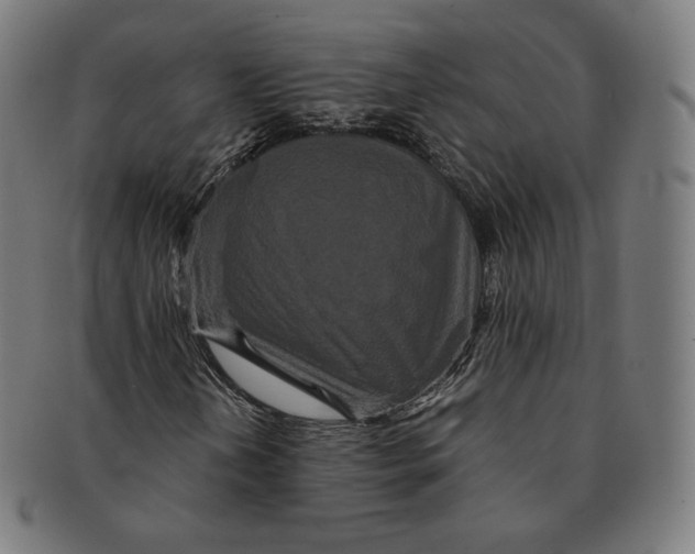 X0000090991202200708241418