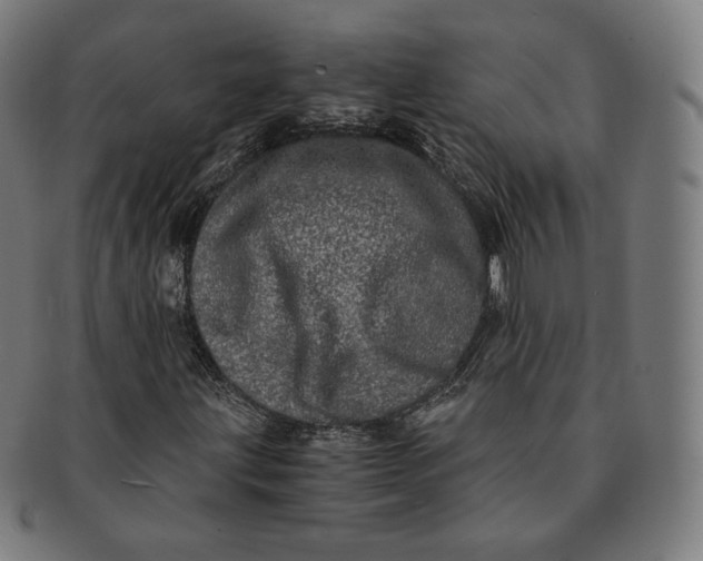 X0000090991203200708241418