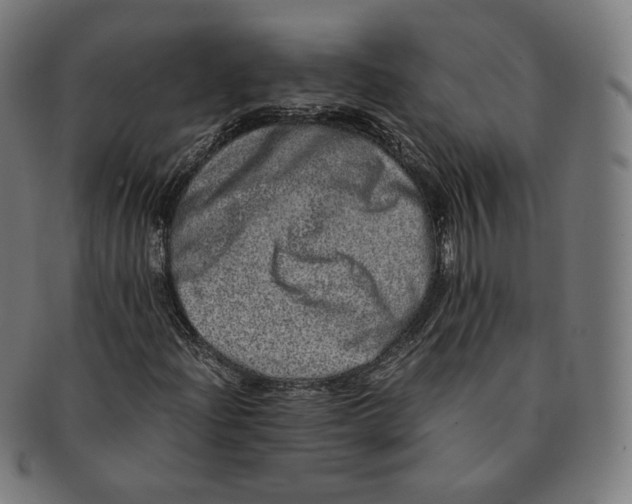 X0000090991204200708241418