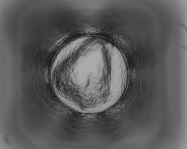 X0000090991205200708241418