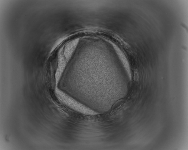 X0000090991208200708241418