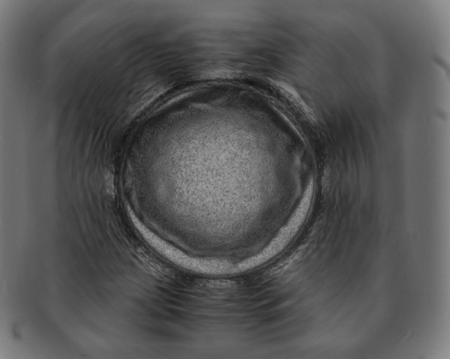 X0000090991209200708241418