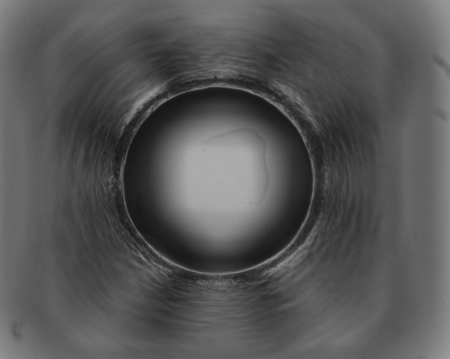 X0000090991210200708241418