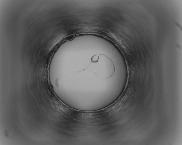 X0000090991211200708241418