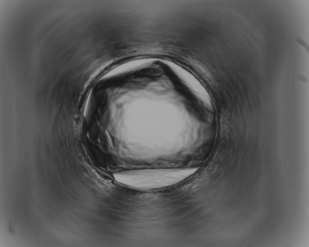 X0000090991212200708241418