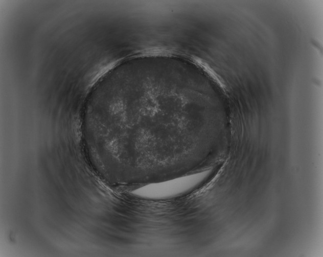 X0000090991213200708241418