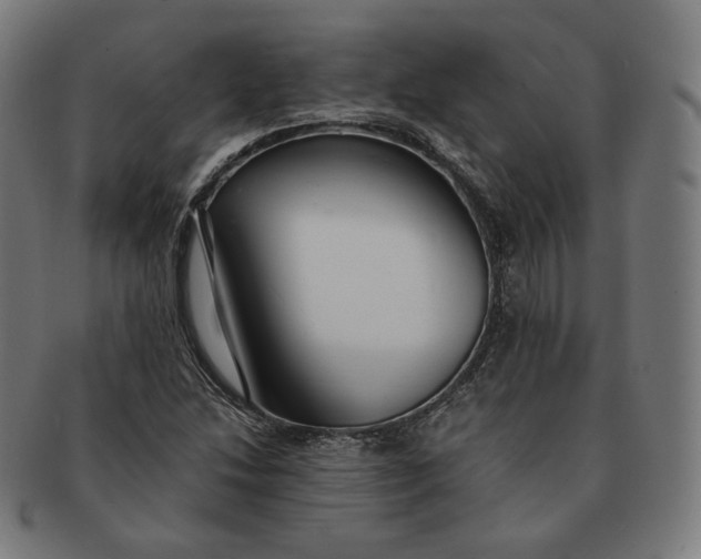 X0000090991214200708241418