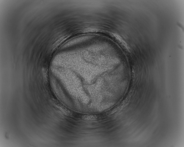 X0000090991217200708241418