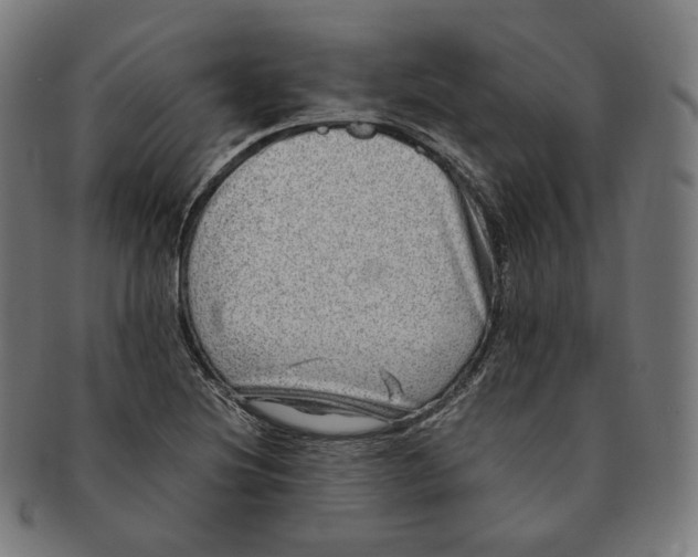 X0000090991220200708241418