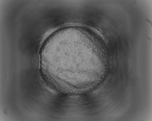 X0000090991223200708241418