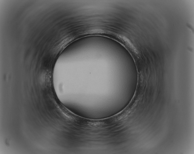 X0000090991225200708241418