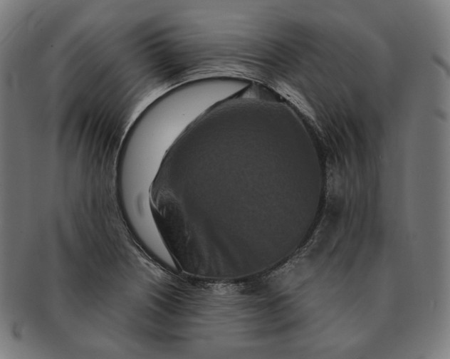 X0000090991226200708241418