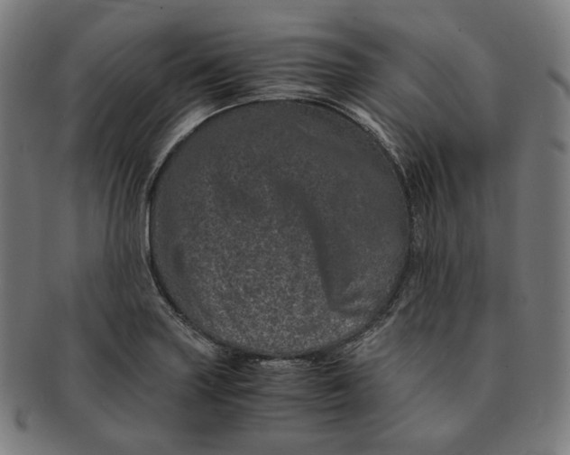 X0000090991227200708241418