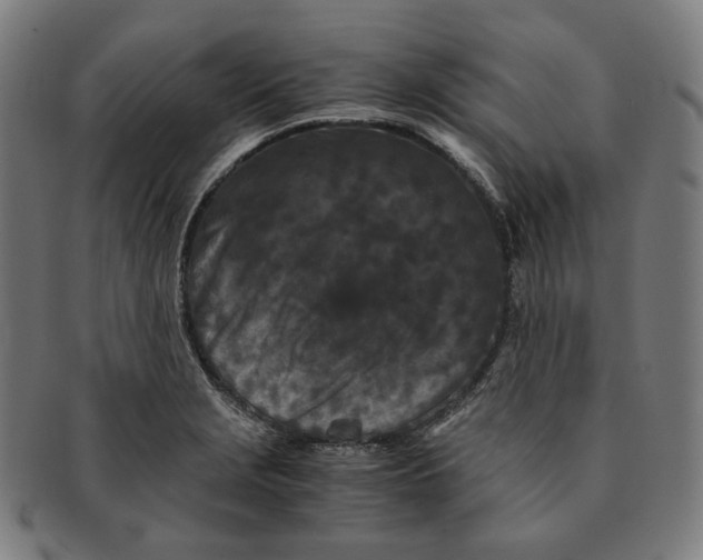 X0000090991229200708241418