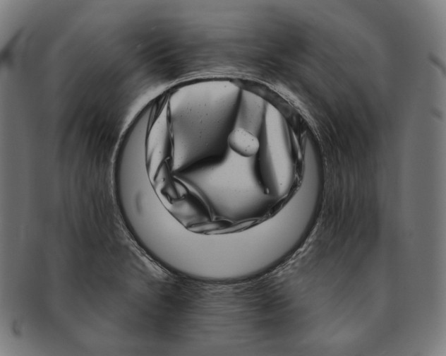 X0000090991230200708241418