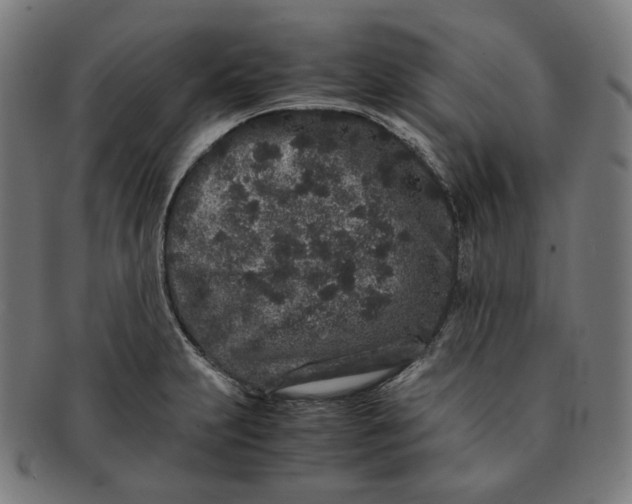 X0000090991231200708241418