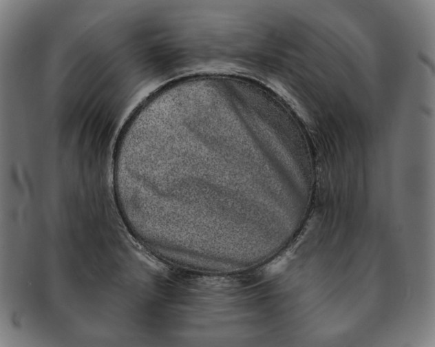 X0000090991232200708241418