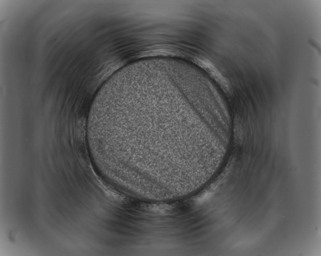 X0000090991233200708241418