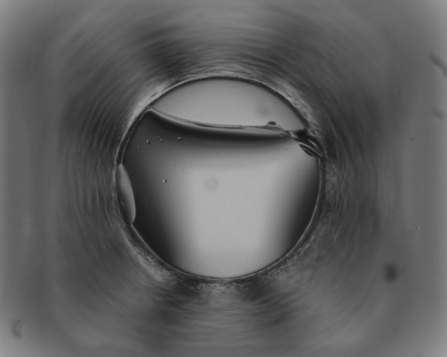 X0000090991234200708241418