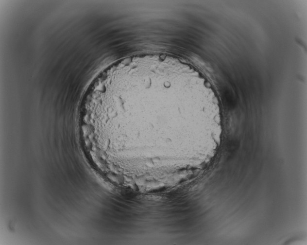 X0000090991235200708241418