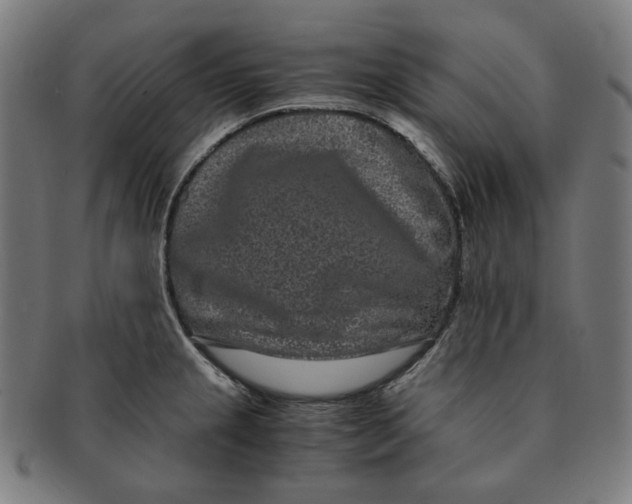 X0000090991237200708241418