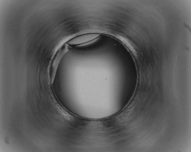 X0000090991238200708241418